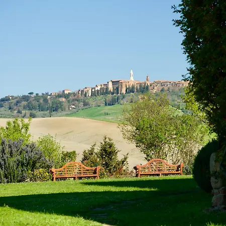 L'olmo Monticchiello