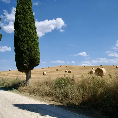 Bed and breakfast L'olmo