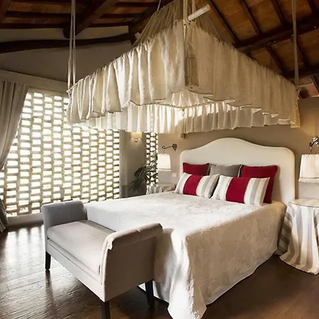 L'olmo Монтичелло