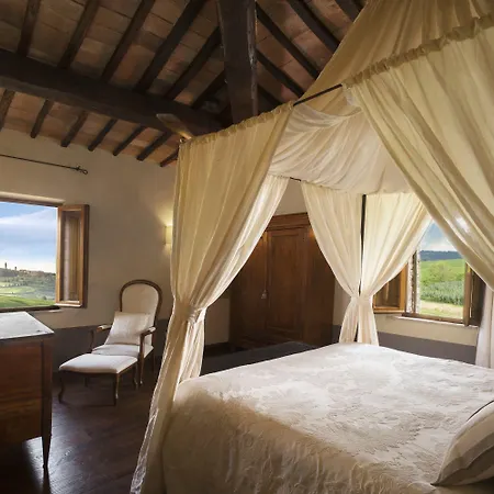 L'olmo Monticchiello