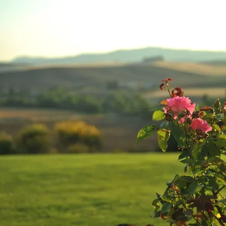 L'olmo 4* Monticchiello