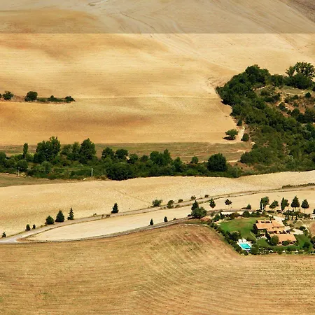 L'olmo Monticchiello