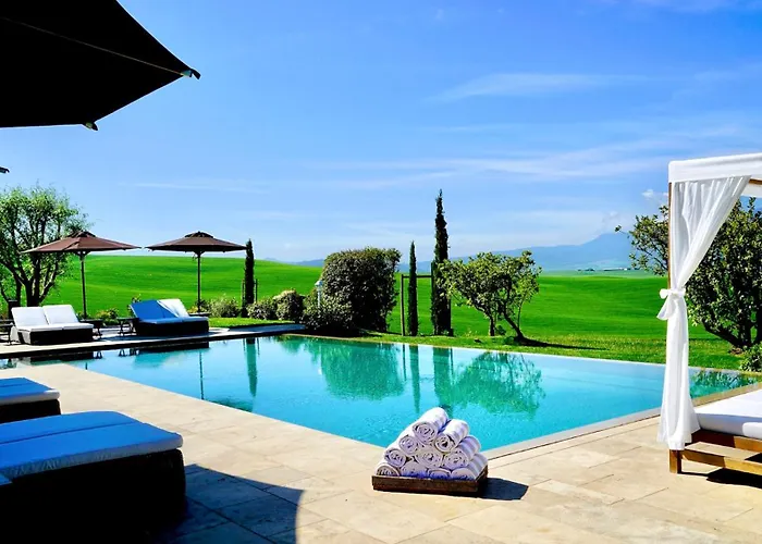 L'olmo Monticchiello