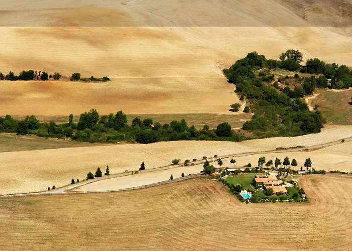 L'olmo Monticchiello